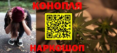 прущие грибы Нягань