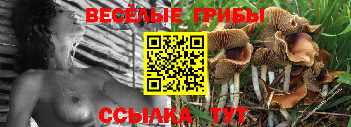 купить наркоту  Вход с VPN  Рязань  Псилоцибиновые грибы мицелий 